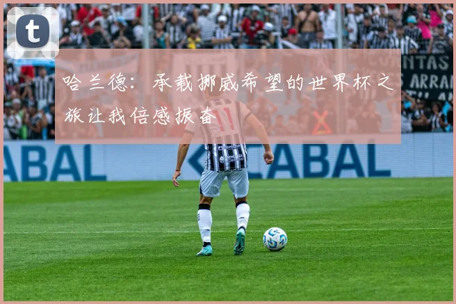 哈兰德：承载挪威希望的世界杯之旅让我倍感振奋