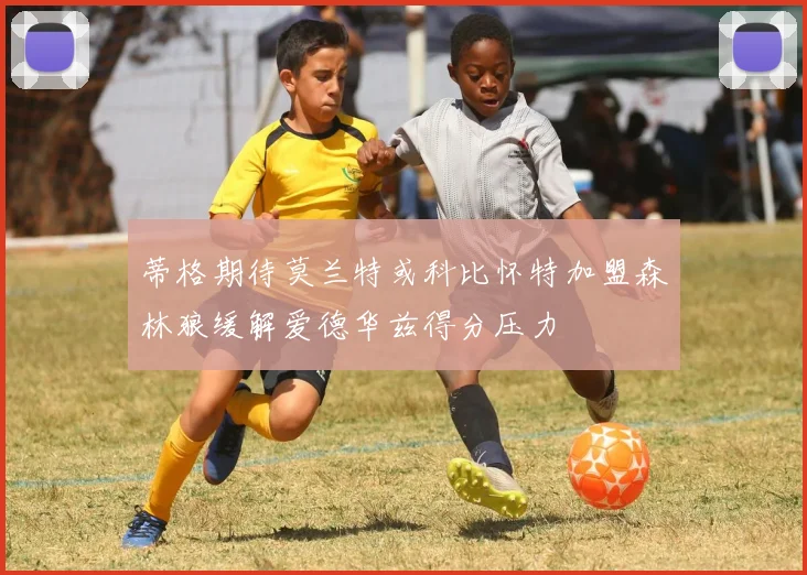 蒂格期待莫兰特或科比怀特加盟森林狼缓解爱德华兹得分压力
